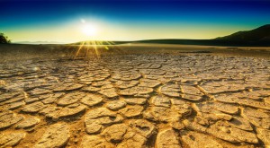 Tres razones para seguir predicando aun cuando no vea resultados